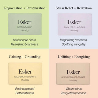 Shower Steamer Discovery Set