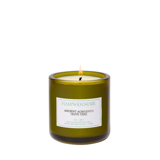 Ancient Agrigento Olive Tree Candle