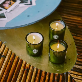 Douglas Fir & Ancient Vetiver Candle