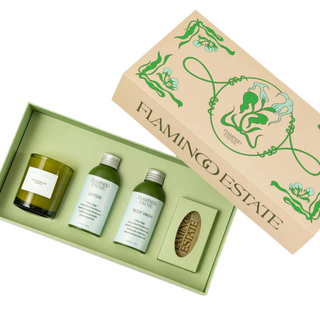 Mini Garden Discovery Set