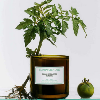 Roma Heirloom Tomato Candle