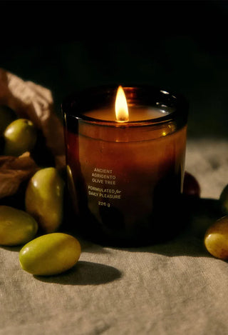 Ancient Agrigento Olive Tree Candle