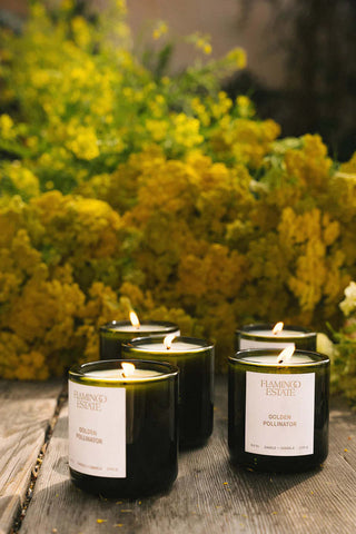 Golden Pollinator Candle