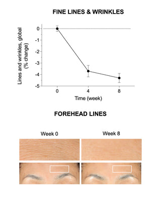 Barrier Repairing Hydra-Serum