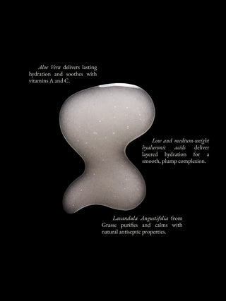 Aloe Hyaluronic Moisture Boost