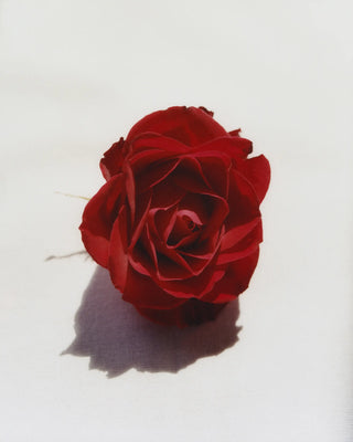 Rose Cleansing Oil